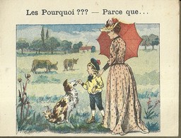 1390 " LES POURQUOI ??? ..... PARCE QUE ..... " FIGURINA DIDATTICA FRANCESE  ORIGINALE - 0-6 Ans