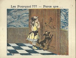 1405 " LES POURQUOI ??? ..... PARCE QUE ..... " FIGURINA DIDATTICA FRANCESE  ORIGINALE - 0-6 Anni