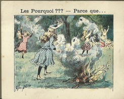 1410 " LES POURQUOI ??? ..... PARCE QUE ..... " FIGURINA DIDATTICA FRANCESE  ORIGINALE - 0-6 Anni