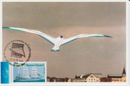 Berck Sur Mer Rencontre Internationale Cerfs-volants 2004 - Commemorative Postmarks
