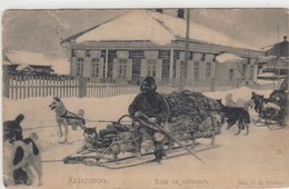 RUSSIA.  Khabarovsk. Riding Dogs. Types. - Russia
