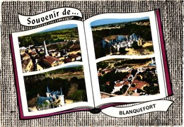 33 .. BLANQUEFORT ... MULTIVUES .. LIVRE .... LAPIE - Blanquefort