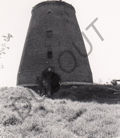 Riemst MOLEN / MOULIN -Originele Foto Jaren '70 ( A.Carre) 32 - Riemst