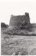 Bilzen MOLEN / MOULIN -Originele Foto Jaren '70 ( A.Carre) 34 - Bilzen