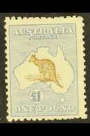 AUSTRALIA - Other & Unclassified