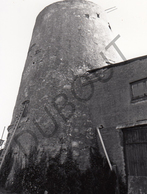 Balen MOLEN / MOULIN -Originele Foto Jaren '70 ( A.Carre) 52 - Balen