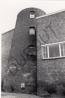 Nijlen MOLEN / MOULIN -Originele Foto Jaren '70 ( A.Carre) 60 - Nijlen