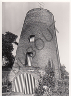 Buggenhout MOLEN / MOULIN -Originele Foto Jaren '70 ( A.Carre) 71 - Buggenhout