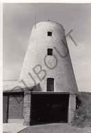 Merchtem MOLEN / MOULIN -Originele Foto Jaren '70 ( A.Carre) 72 - Merchtem