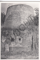 Lebbeke MOLEN / MOULIN -Originele Foto Jaren '70 ( A.Carre) 73 - Lebbeke