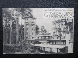 AK GOMMERN B. MAGDEBURG Vogelsang Wasserturm 1903 ///  D*34608 - Gommern