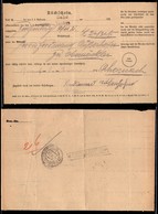 ANTICHI STATI - TERRITORI ITALIANI D’AUSTRIA - Sand Taufers - Ricevuta Di Ritorno Del 2.11.21 - Ahornach In Pusterthal A - Otros & Sin Clasificación