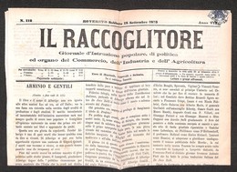 ANTICHI STATI - TERRITORI ITALIANI D’AUSTRIA - Segnatasse - Falso Di Rovereto - 1 Kreuzer (F1) Tosato In Angolo In Origi - Other & Unclassified