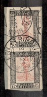 COLONIE - LIBIA - 1924 - 10 Cent Pittorica (47k) - Coppia Verticale Non Dentellata Su Frammento - Rarissimo Insieme (pro - Sonstige & Ohne Zuordnung