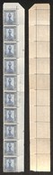 COLONIE - LIBIA - 1924 - 25 Cent Pittorica (49zg) - Striscia Angolare Di Dieci - Filigrana Lettere 12/10 Su Nove - Gomma - Autres & Non Classés