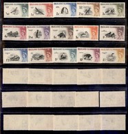 ESTERO - FALKLAND ISLANDS - 1960 - QE II E Uccelli (123/137) - Serie Completa - Gomma Integra (220) - Autres & Non Classés