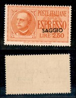 REGNO D'ITALIA - ESPRESSI - 1933 - Saggi - 2,50 Lire Espresso (16) - Gomma Integra - Sonstige & Ohne Zuordnung