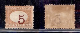 REGNO D'ITALIA - SEGNATASSE - 1890 - 5 Cent Segnatasse (20c) - Cifra Spostata - Gomma Integra Bruna (75) - Sonstige & Ohne Zuordnung