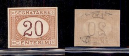 REGNO D'ITALIA - SEGNATASSE - 1894 - 20 Cent Segnatasse (22g) - Non Dentellato - Gomma Integra - Cert. Raybaudi (240) - Sonstige & Ohne Zuordnung