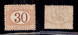 REGNO D'ITALIA - SEGNATASSE - 1890 - 30 Cent Segnatasse (23) - Gomma Integra - Ottimamente Centrato (40) - Sonstige & Ohne Zuordnung