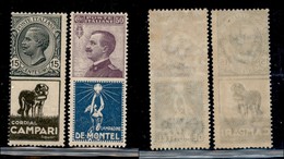 REGNO D'ITALIA - PUBBLICITARI - 1924/1925 - 15 Cent Cordial Campari (3) + 50 Cent De Montel (12) - Gomma Integra (25) - Other & Unclassified