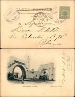 REGNO D'ITALIA - NAVIGAZIONE/PIROSCAFI - Cariddi Piroscafo Postale Italiano 16.6.1 (viola) - Cartolina Da Tunisi A Paler - Other & Unclassified