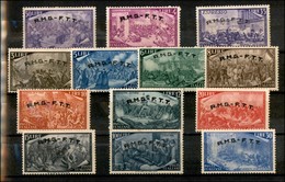 TRIESTE - AMG-FTT - 1948 - Risorgimento (18/29 + 5 Espressi) - Serie Completa - Gomma Integra (non Fresca Negli Alti Val - Nuevos