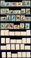 ESTERO - ANGOLA - 1951 - Uccelli (339/362) - Serie Completa - Usati (125) - Autres & Non Classés