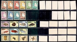 ESTERO - BARBUDA - 968/1971 - Mappe E Fauna (12/27 + 50 + I/IV) - 3 Serie Complete - Gomma Integra (35) - Autres & Non Classés