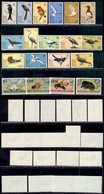 ESTERO - BRITISH INDIAN OCEAN TERRITORY - 1975/1976 - Uccelli + Insetti (63/77 + 86/89) - 2 Serie Complete - Gomma Integ - Sonstige & Ohne Zuordnung
