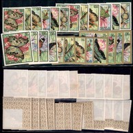 ESTERO - BURUNDI - 1968 - Farfalle (411/435) - Serie Completa Con Posta Aerea Angolo Di Foglio - Gomma Integra (90+) - Other & Unclassified