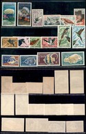 ESTERO - COMORES - 1962/1968 - Fauna - 3 Serie Complete E Alcuni Valori Del Periodo - Gomma Integra (140+) - Sonstige & Ohne Zuordnung