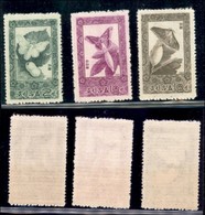 ESTERO - COREA DEL NORD - 1965 - Farfalle (639/641) - Serie Completa - Gomma Integra (75) - Other & Unclassified