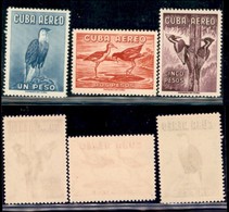 ESTERO - CUBA - 1962 - Uccelli Posta Aerea (768/770) - Serie Completa - Gomma Integra (70) - Other & Unclassified