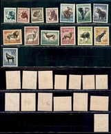 ESTERO - SUD AFRICA - 1954 - Natura (239/252) - Serie Completa - Gomma Integra (50) - Other & Unclassified