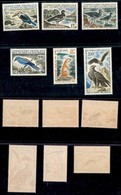 ESTERO - TERRITOIRE FRANCAIS DES AFAR ET DES ISSAS - 1967 - Uccelli (1/6) - Serie Completa - Gomma Integra - Leggera Abr - Other & Unclassified