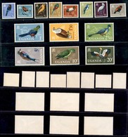 ESTERO - UGANDA - 1965 - Uccelli (87/100) - Serie Completa - Gomma Integra (100) - Sonstige & Ohne Zuordnung