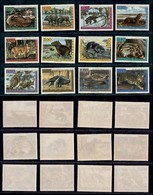 ESTERO - VENEZUELA - 1963 - Fauna (1481/1492) - Serie Completa - Gomma Integra (30) - Other & Unclassified