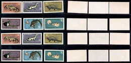 ESTERO - VIETNAM - 1965 - Fauna (369/374 + 369U/374U) - 2 Serie Complete - Dentellati E Non - Nuovi Senza Gomma (42) - Autres & Non Classés