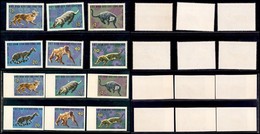 ESTERO - VIETNAM - 1967 - Fauna (475/480 + 475U/480U) - 2 Serie Complete - Dentellati E Non - Nuovi Senza Gomma (25) - Other & Unclassified