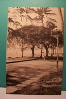 CONAKRY   -  Promenade De La Corniche - French Guinea