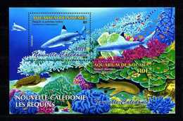 Nlle CALEDONIE 2005  Bloc N° 35 ** Neuf MNH Superbe Requin Shark Poissons Fishes Faune Fauna - Blocs-feuillets