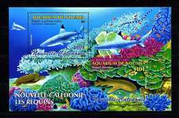 Nlle CALEDONIE 2005  Bloc N° 35 ** Neuf MNH Superbe Requin Shark Poissons Fishes Faune Fauna - Blokken & Velletjes