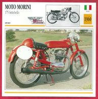 Moto Morini 175 Settebello. Moto De Sport. Italie. 1960. Si Simple Et Si Efficace - Deportes