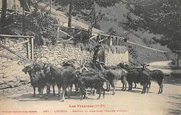 Luchon     31     Retour Du Chevrier. Vallée D'Oueil      (voir Scan) - Luchon