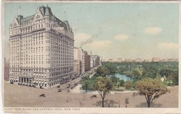 1108 THE PLAZA AND CENTRAL PARK, NEW YORK - 1919 - Central Park