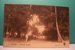 CONAKRY   -  Boulevard  Circulaire - Guinée Française