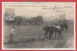 FOLKLORE - Scènes Champêtre Du CENTRE De La France - Un Laboureur - Autres & Non Classés