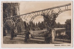 Uetersen - Rosarium - Uetersen