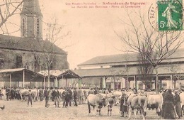 RABASTENS-de-BIGORRE       Le Marché Aux Bestiaux Place Du Centenaire - Rabastens De Bigorre